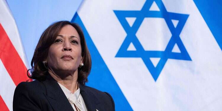 Harris calls for immediate ceasefire due to 'catastrophe' in Gaza