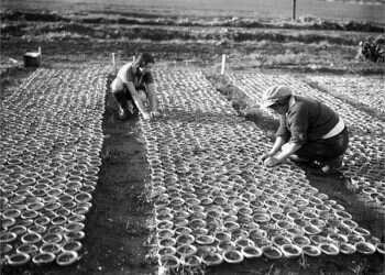 KKL-JNF reveals rare photos of pioneers in honor of International Women's Day