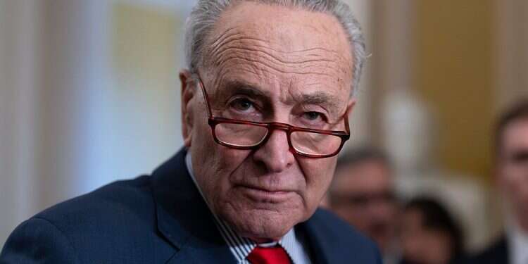 Schumer calls for new elections in Israel, criticizes Netanyahu