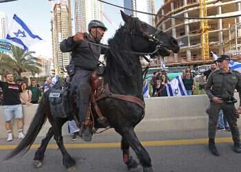 Israel Police weighs mounting bodycams on horses
