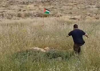 Israeli injured after explosive device attached to Palestinian flag detonates