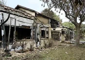 'The war has proved there is a blood bond with Diaspora Jews,' Masa CEO says