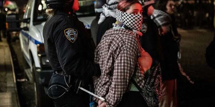 'I never thought in America I would have Jewish people thanking me for arguing that they have a right to exist'