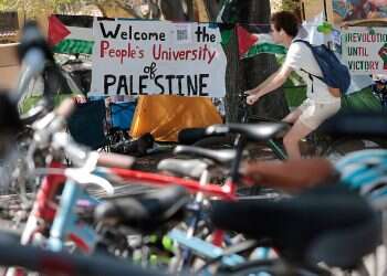 'America deserves Trump,' Israeli scholar at Stanford says in wake of protests