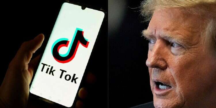 Is TikTok the key to the 2024 presidential race?