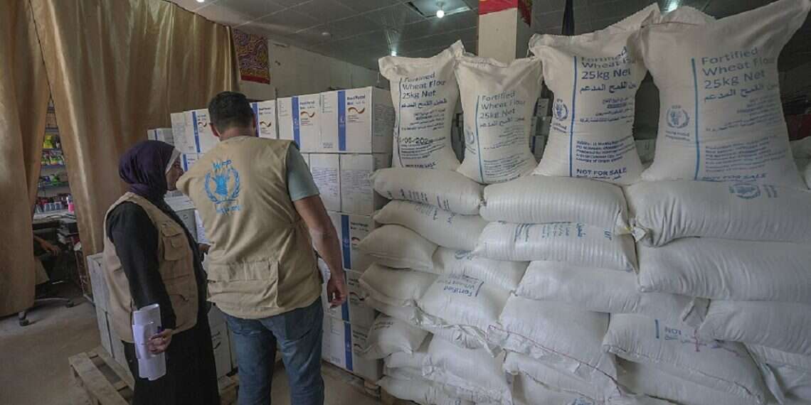 Food aid is distributed in Deir Al Balah, Gaza, as part of a World Food Programme operation on June 13, 2024 UN official admits no evidence of famine in Gaza