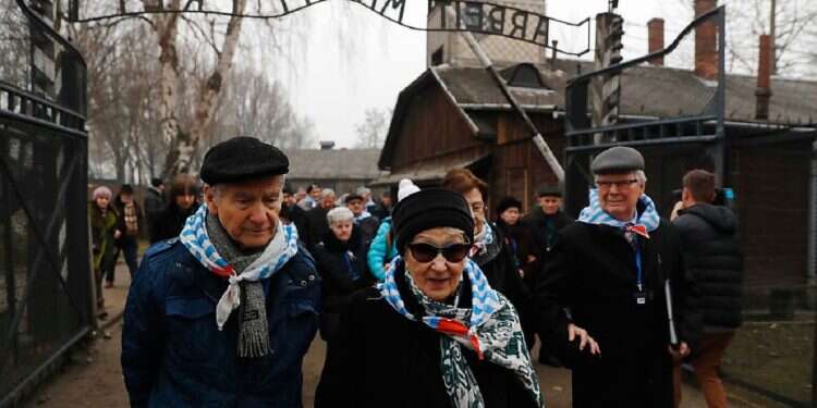 Holocaust survivors to get boost of €105M