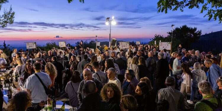 Matte Yehuda Regional Council hosts ambassadors for 26h annual wine event