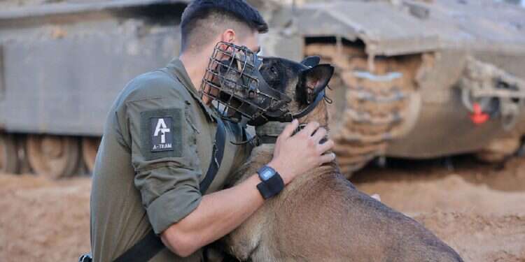 An IDF's Oketz unit dog and its trainer, before entering Gaza, 2023. Hamas kills Israeli military dog after abduction