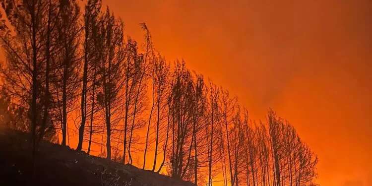 Fire in Kiryat Shmona due to a Hezbollah missile Those who burn the land are not worthy of it