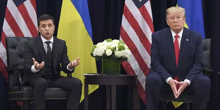 Trump and Zelensky. Photo: AFP Possible Trump Ukraine plan: half a trillion dollars and NATO membership