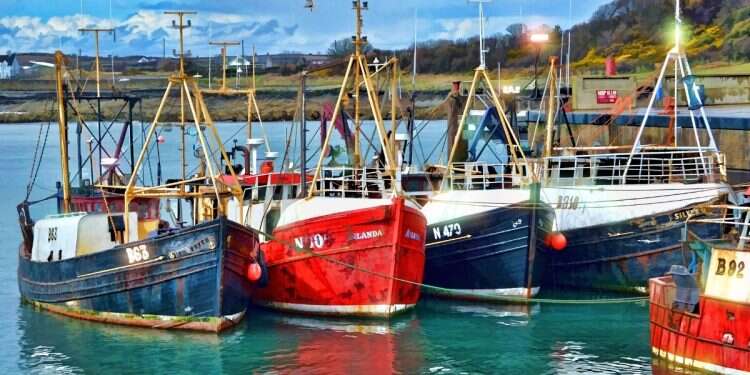 Fishing boats in harbor