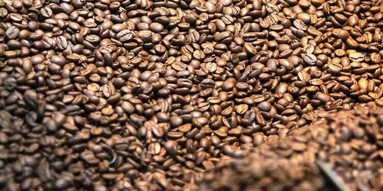 Panama's liquid gold: Coffee sold at $10013 per kg