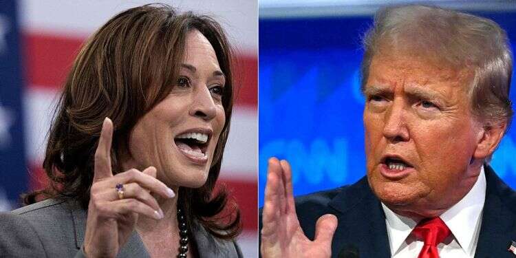 Trump, Harris agree to debate on September 10