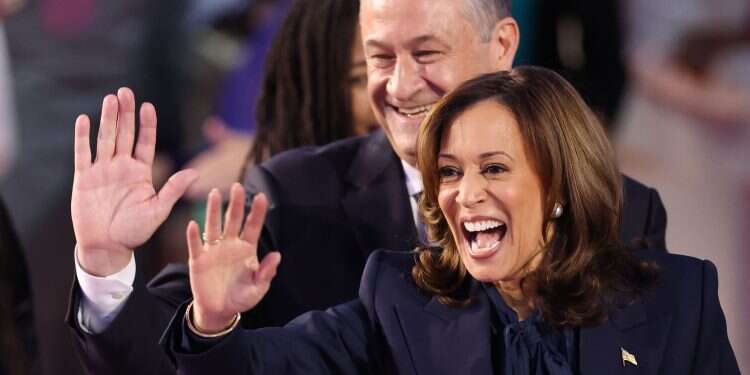 Harris vows support for Israel in watershed election 2024 moment