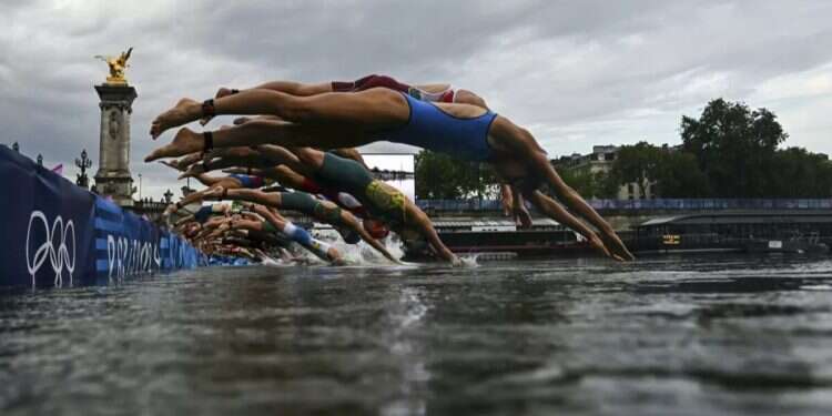 Olympic marathon swimmers