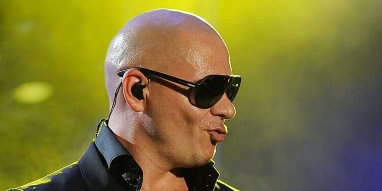 Pitbull