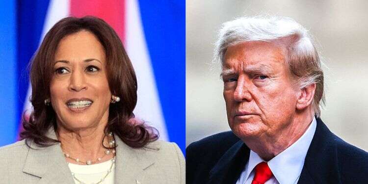 Trump attacks Harris for 'suddenly turning black'