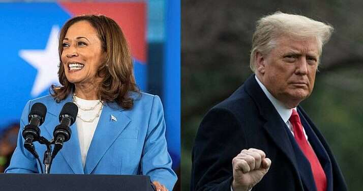 Behind the scenes: The key players shaping Trump and Harris campaigns