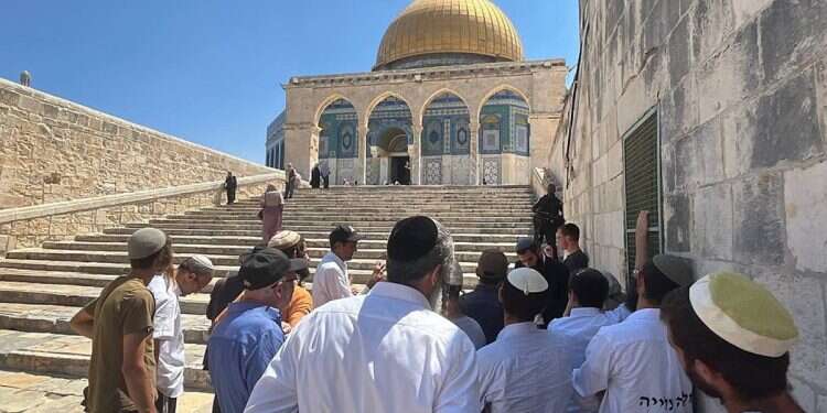 Rabbi Elisha Wolfson and his Drishat Zion Kollel students on the Temple Mount on July 29, 2024 Prayers and politics: The growing Jewish presence on the Temple Mount