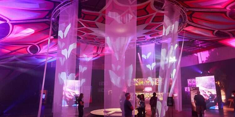 When music died: California Oct. 7 Nova exhibit awes visitors