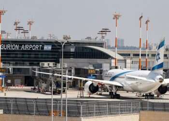 Cold-blooded crime: Authorities shocked by airport reptilian discovery