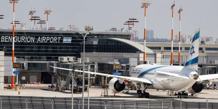 Cold-blooded crime: Authorities shocked by airport reptilian discovery