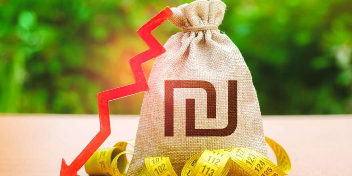 Navigating the current financial landscape: Tips for Israeli households