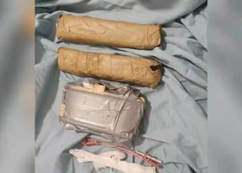 Hezbollah plot to assassinate former senior official foiled