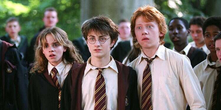 HBO Harry Potter TV series launches diverse casting call