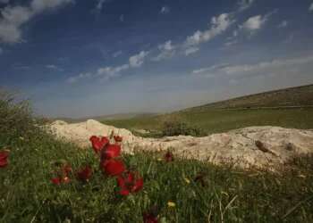 Things that give me strength