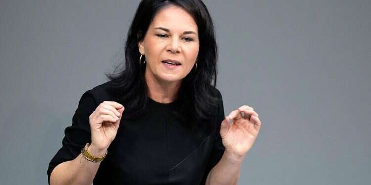 Revealed: German FM secretly blocked arms transfers to Israel