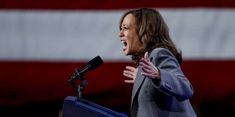 Harris says 'it's real' after heckler's tirade on Palestinian 'genocide'