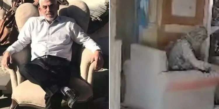 Watch: dramatic footage of Sinwar's elimination