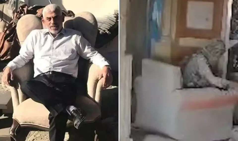 Watch: dramatic footage of Sinwar's elimination