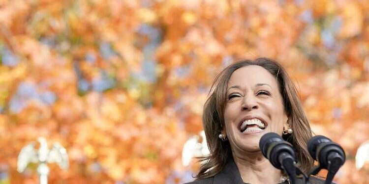 The mistake that could cost Harris the race