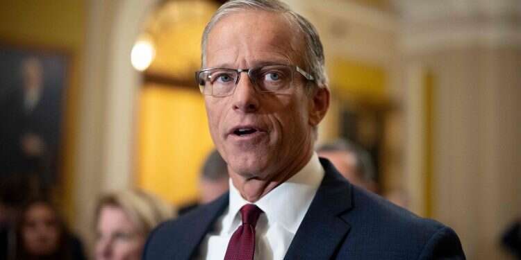 'Reinforcements are on the way': Incoming Senate majority leader vows support to Israel