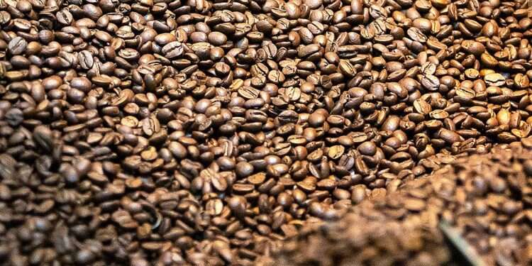 Would you dance for free coffee?