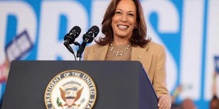 Harris betting odds improve significantly