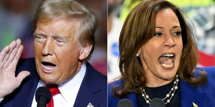 Former US President and Republican presidential candidate Donald Trump (L) at a campaign rally in Milwaukee, Wisconsin, November 1, 2024, and US Vice President and Democratic nominee Kamala Harris (R) speaks during a campaign rally in Las Vegas, Nevada, on October 31, 2024 Harris, Trump, and the confusing messages to Jews, Muslims