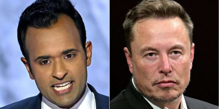 Will Musk and Ramaswamy succeed where lawmakers failed?