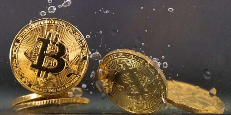 Crypto's Trump card: New momentum for bitcoin after election