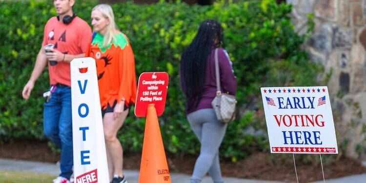 Young male voters could be key to Trump victory, if they vote