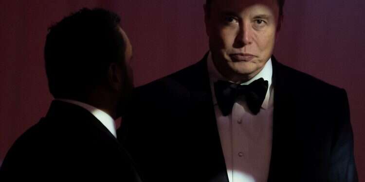 Elon Musk reportedly holds secret meeting with Iran's UN envoy