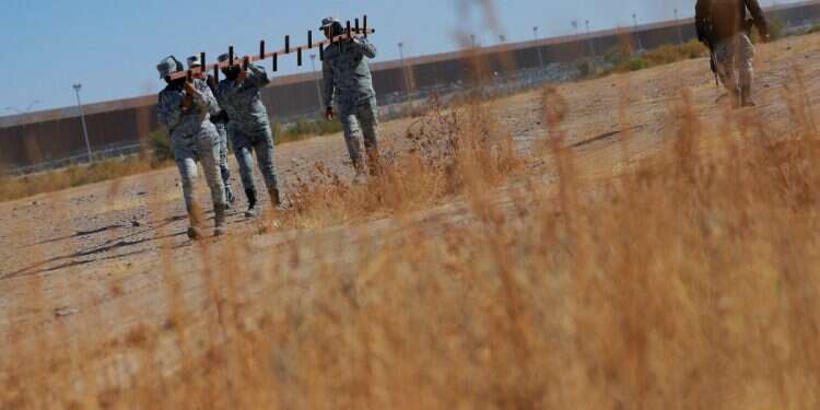 Trump promises 'largest deportation operation in American history'