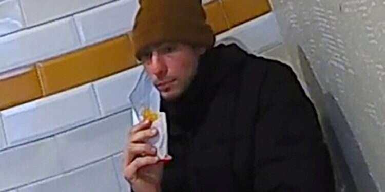 What led to Mangione's capture at McDonald's?