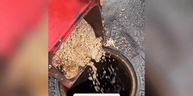 Syrians dispose of Captagon drugs following the fall of the Assad regime Syrians uncover massive Captagon drug operation in wake of Assad's fall