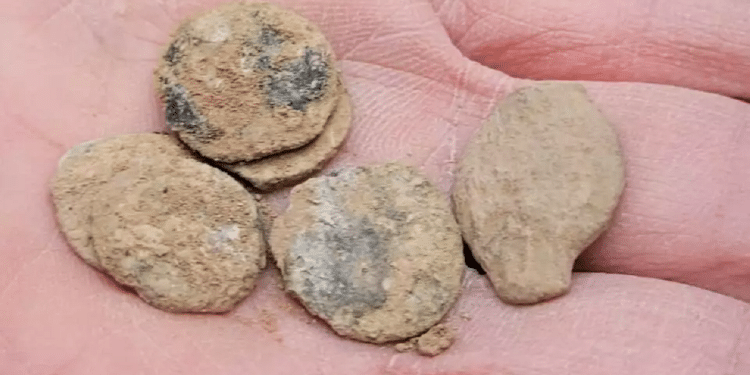 Hanukkah discovery: Rare coins unearth Hasmonean history