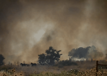 Top photojournalism contest reveals powerful Oct. 7 images