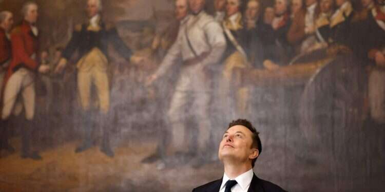 Elon Musk. Photo: AFP Trump's inauguration, minute by minute